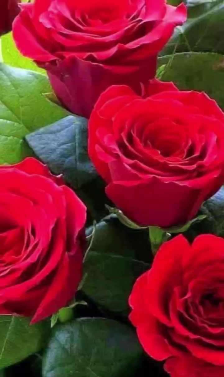 @reflexoes_davida