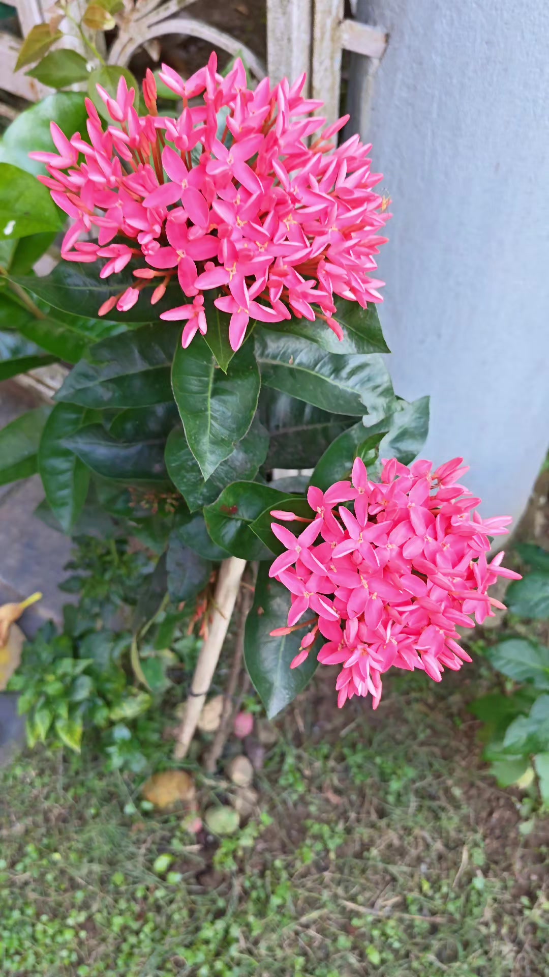 @AnandajyotisthA