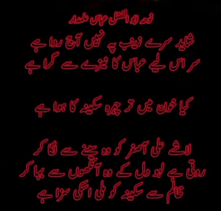 @🇵🇰🇮🇶عَلَى وَلِى اللَّه🚩