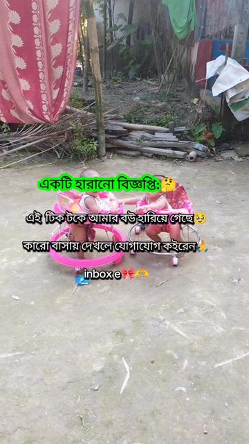 @🇫🇷รคɭ๓คภ คђ๓є๔✍️