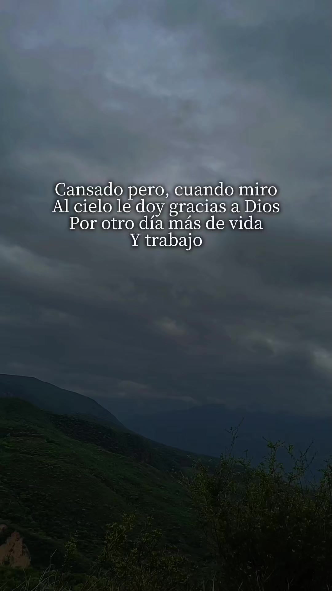 @viko
