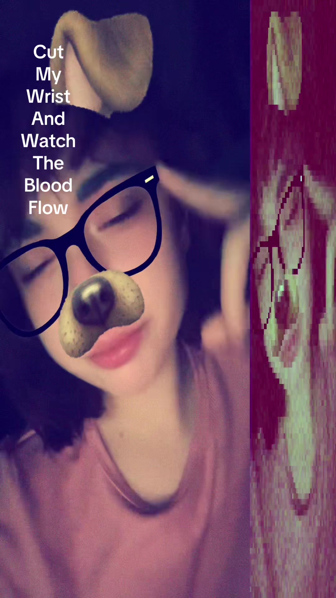 @⛓️🖤DRACO🖤⛓️・following
