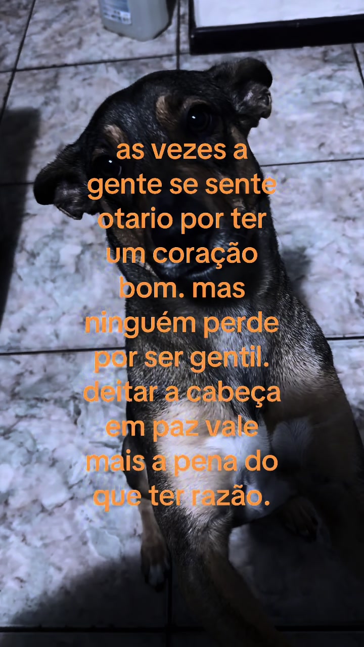 @Pedro louzada