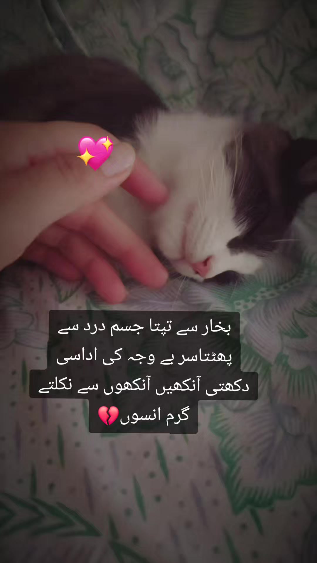 @😘تُو چانن میری اکھیاں دا🥀