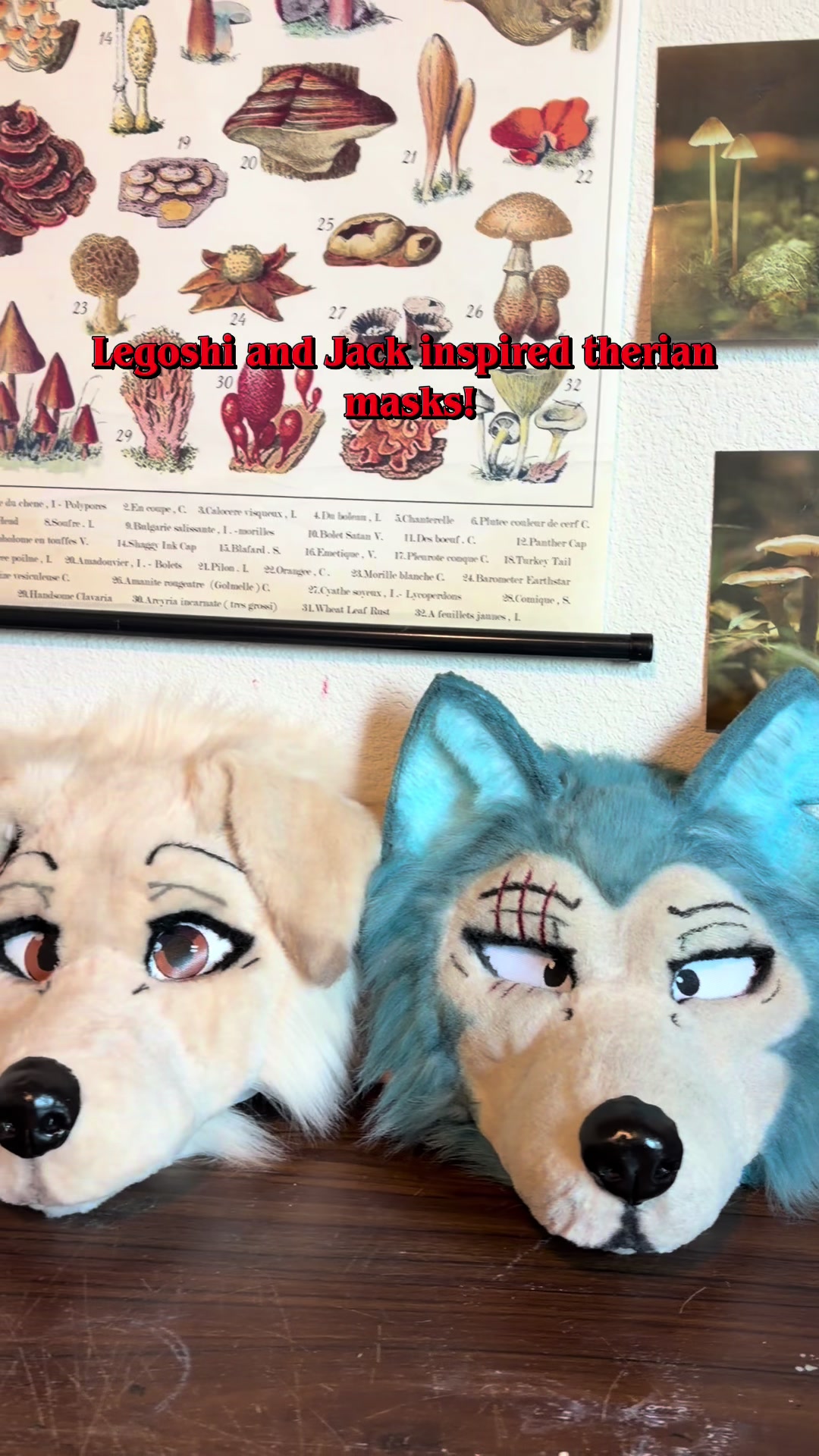@RoadKill Creations Fursuits