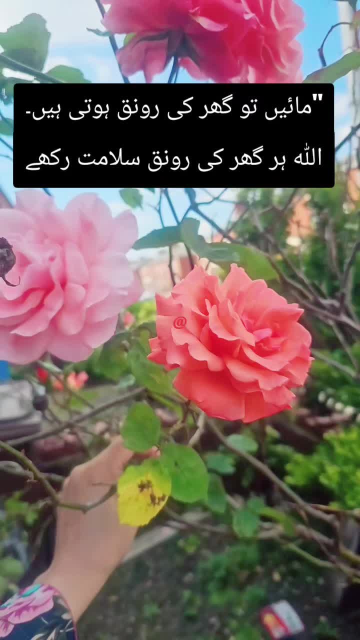 @Ishu Khan