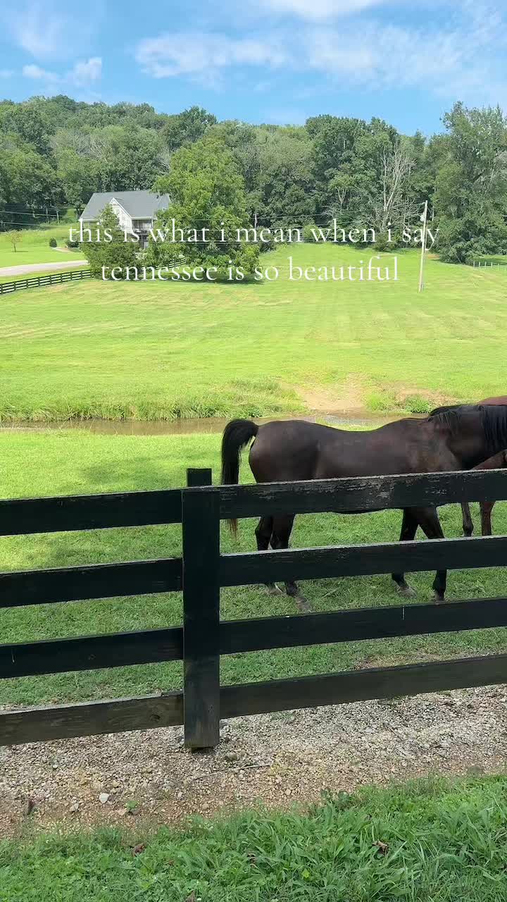 @kyla.gsharie