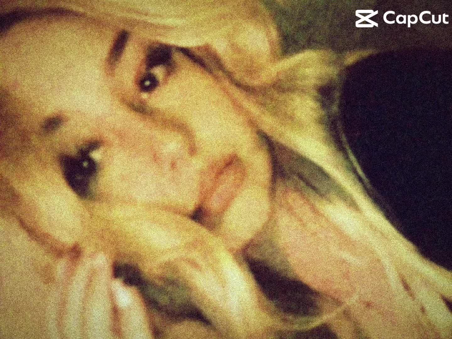 @Sssophie🐻&zwj;❄️