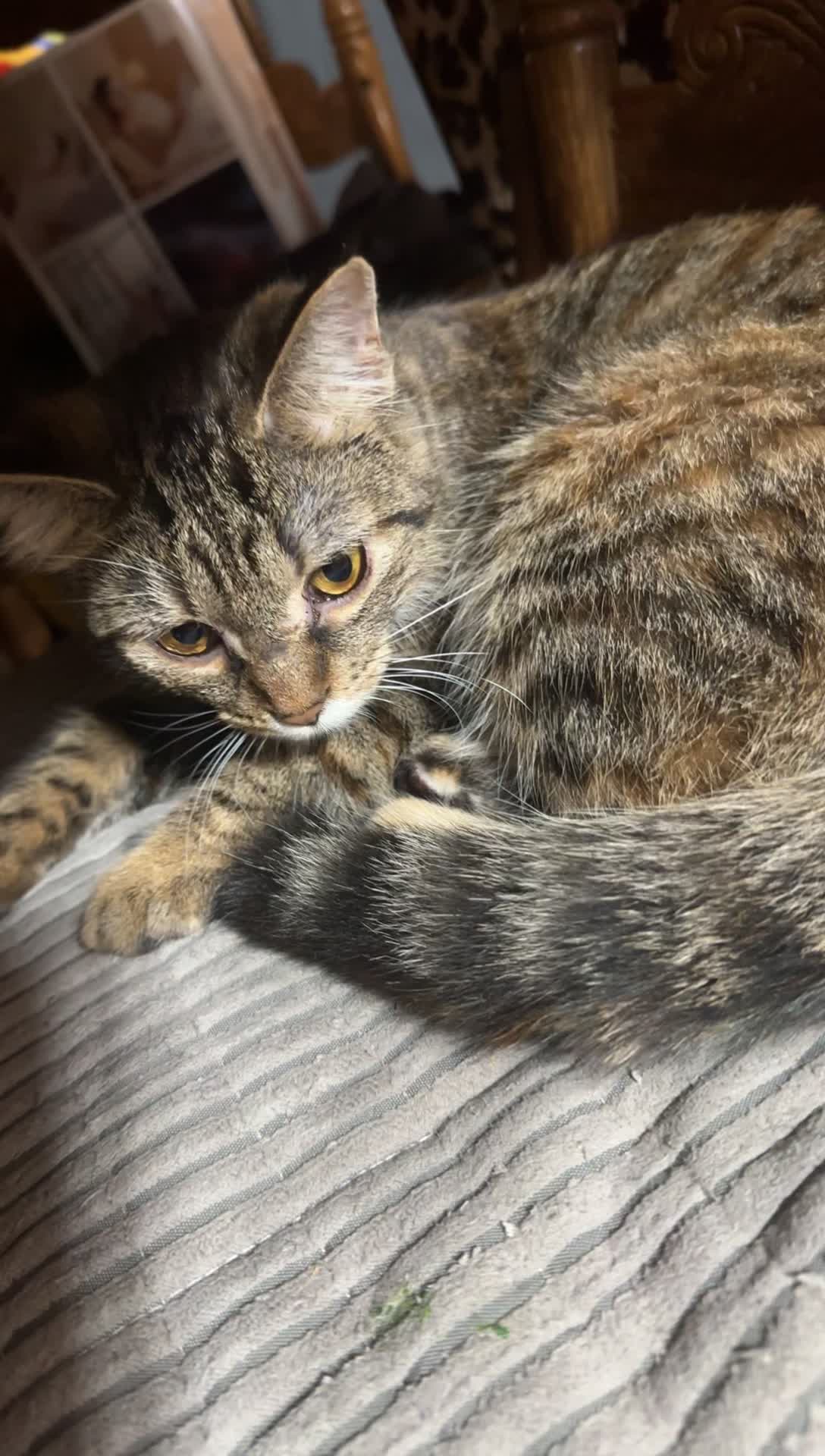 @Cindyhagans🥉