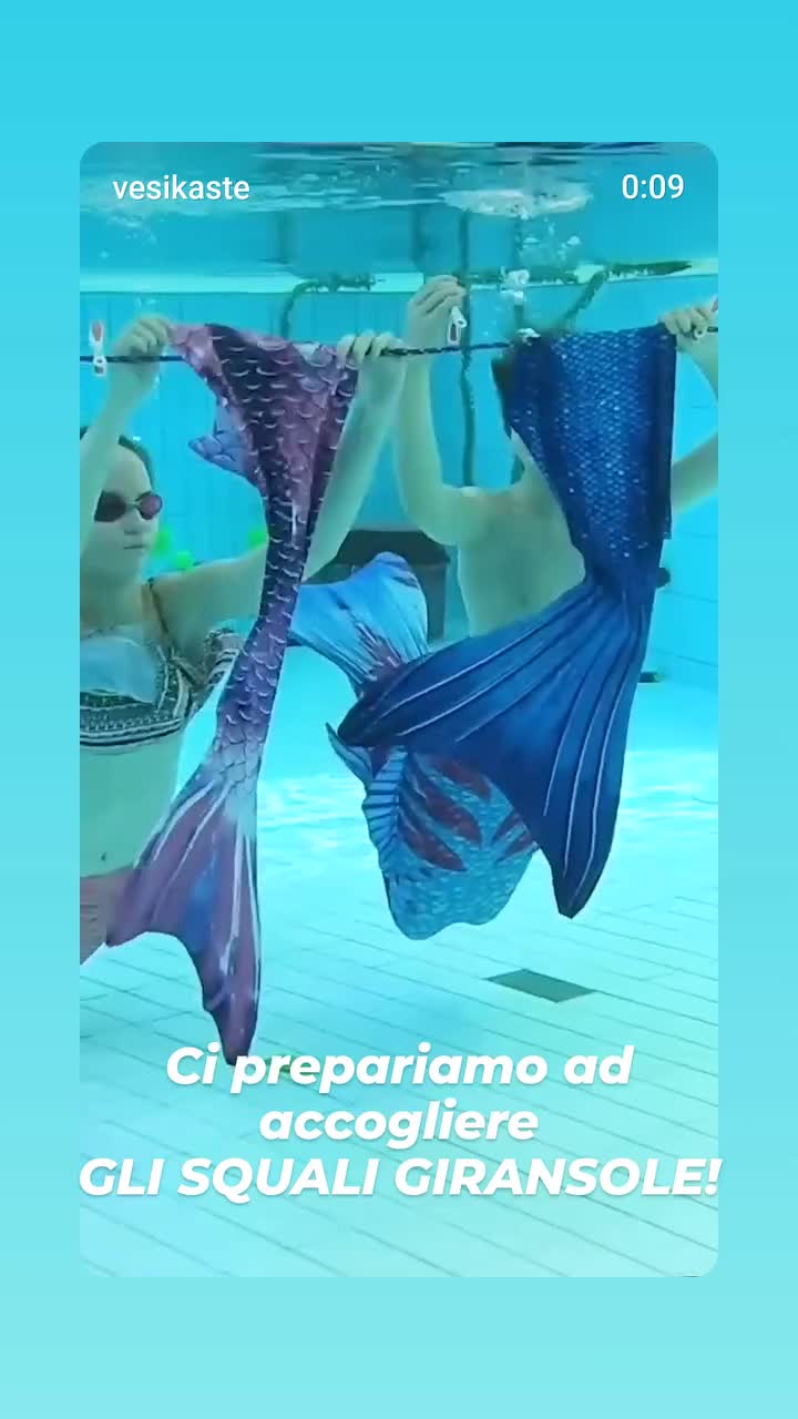 @Le sirene giransole Bergamo