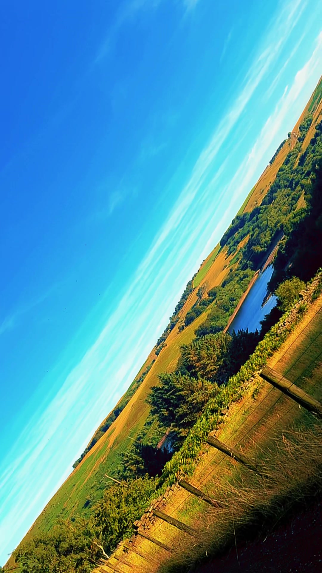 @Georginiho The Scaffoldinio🤍