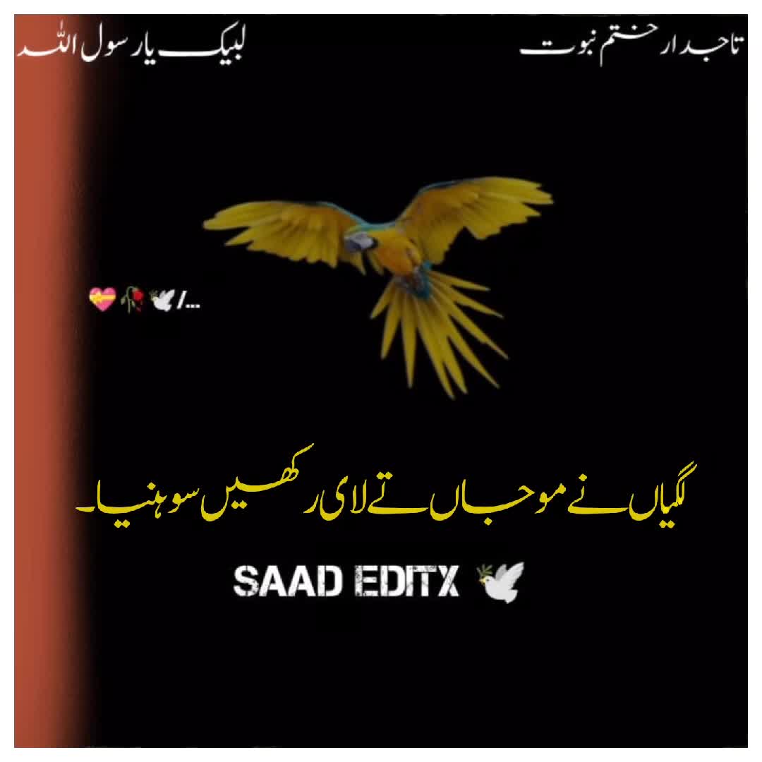 @𝗦𝗮𝗮𝗱 𝗘𝗱𝗶𝘁𝘅 🕊️