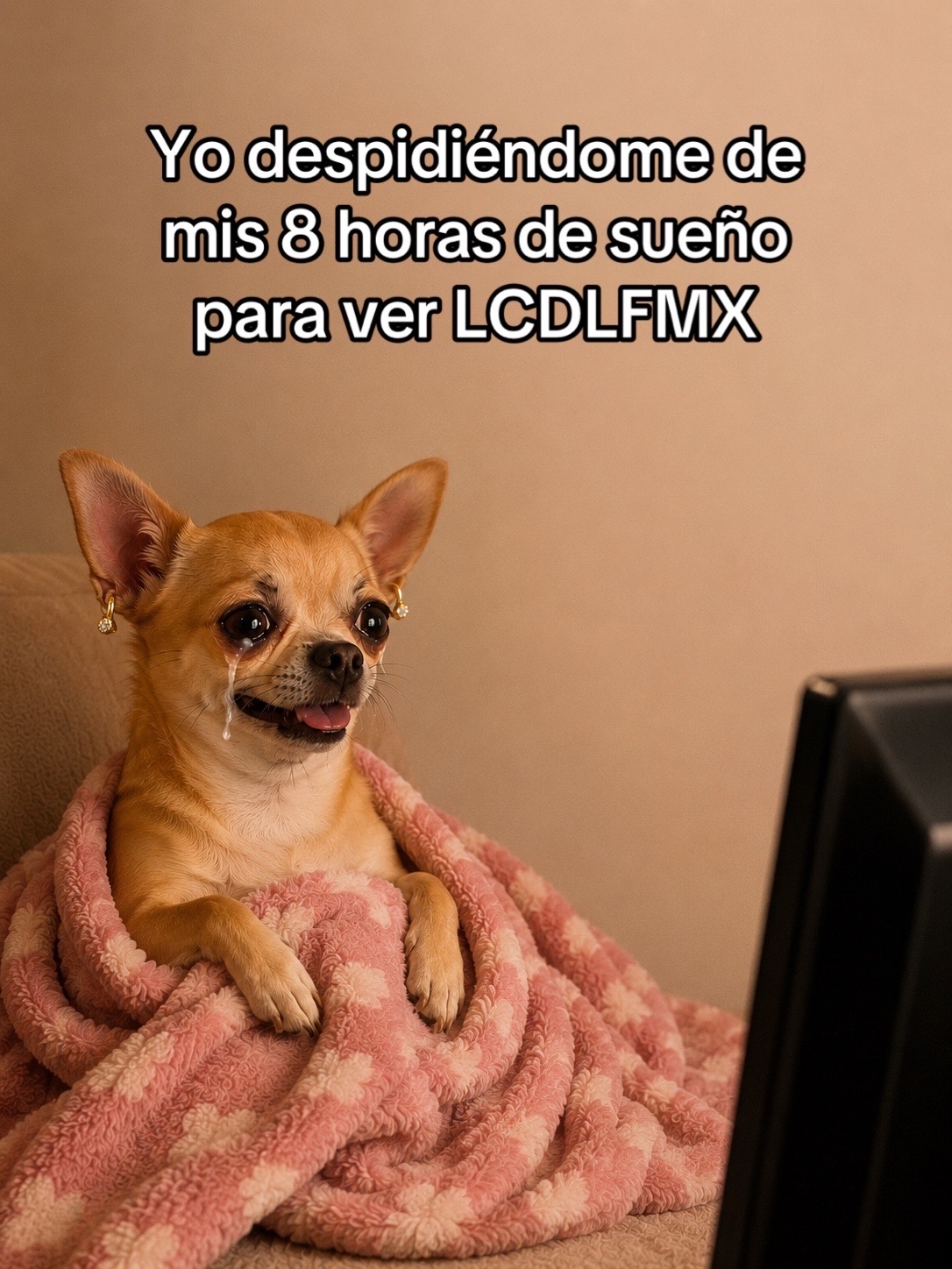 @palomina-
