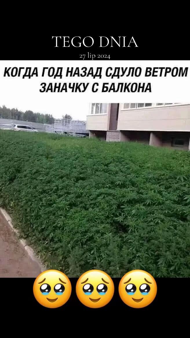 @𝓜𝓘𝓛𝓐𝓐𝓝