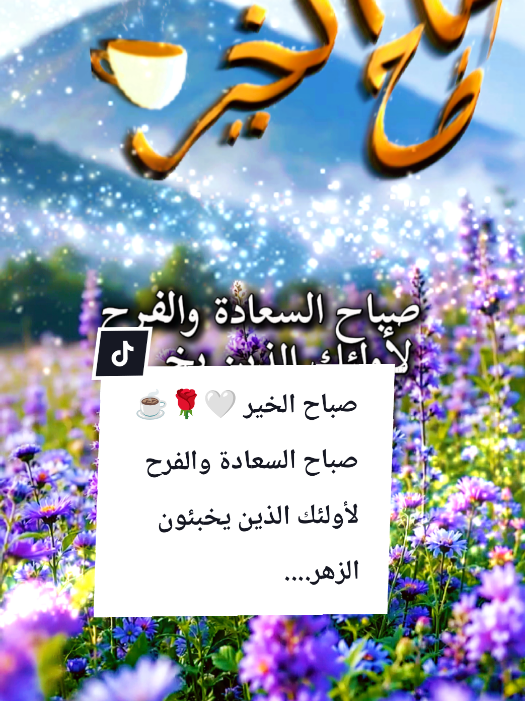@🌟𝗦𝗼𝘂𝘇𝗮𝗻 𝗖𝗵𝗮𝗺𝘀