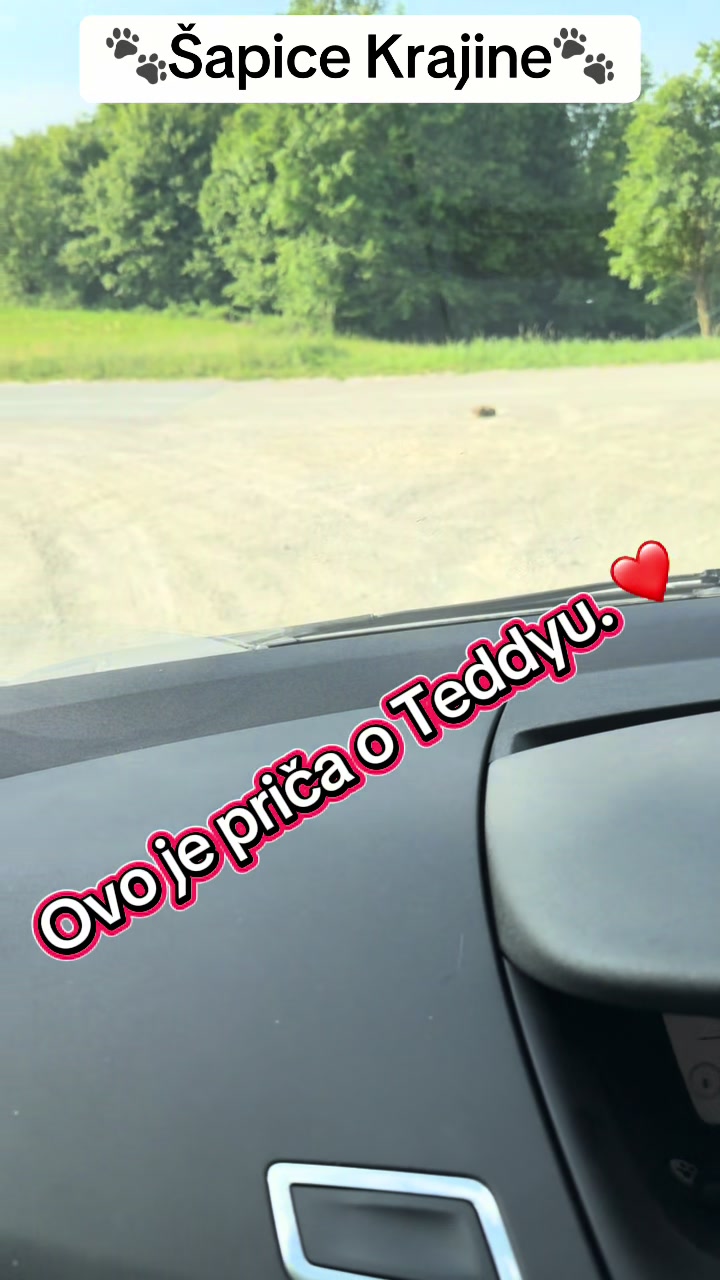 @&Scaron;apice Krajine