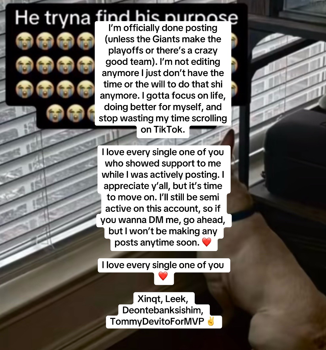 @𝘟𝘪𝘯𝘲𝘵