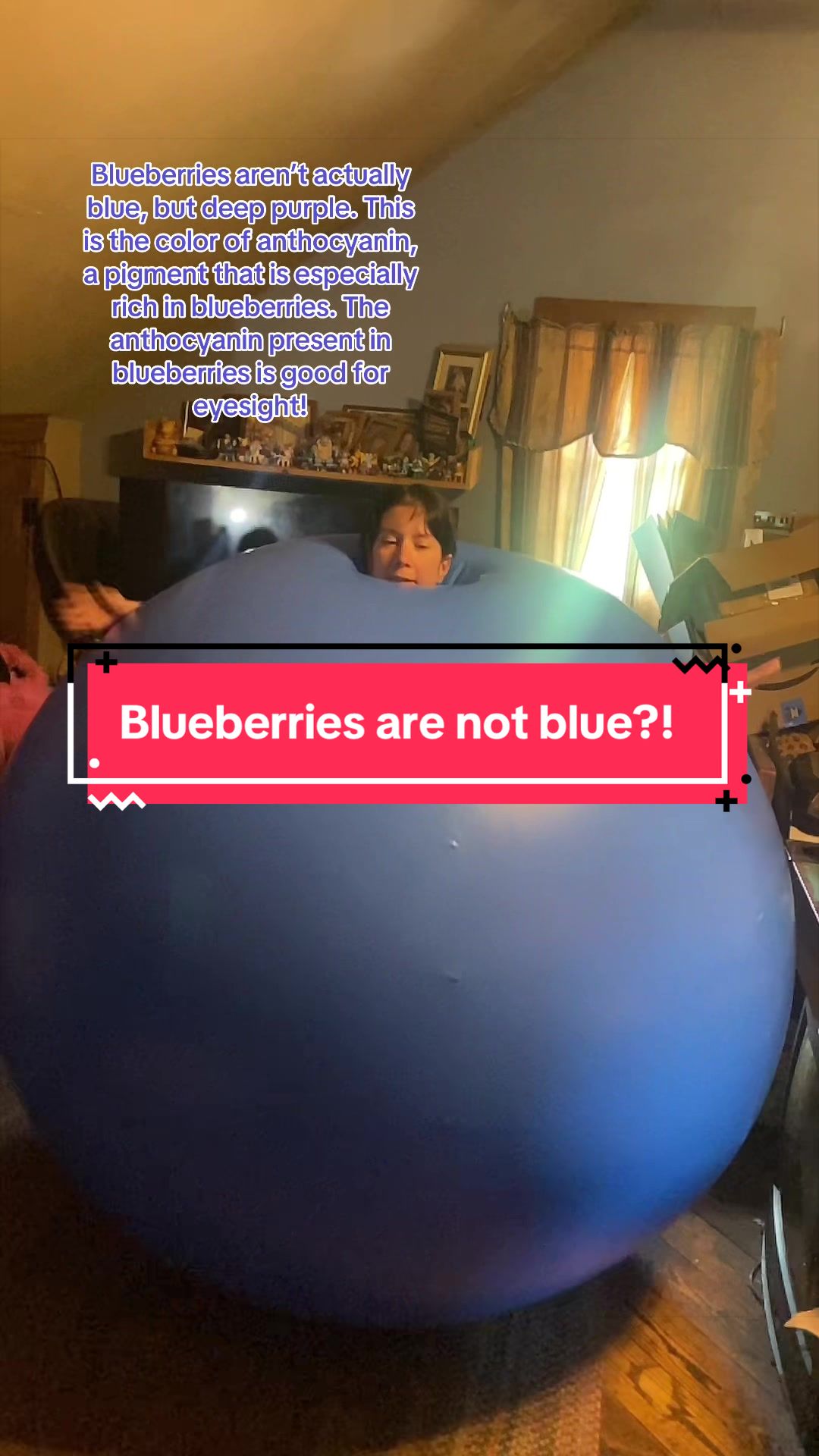 @Annakitty13