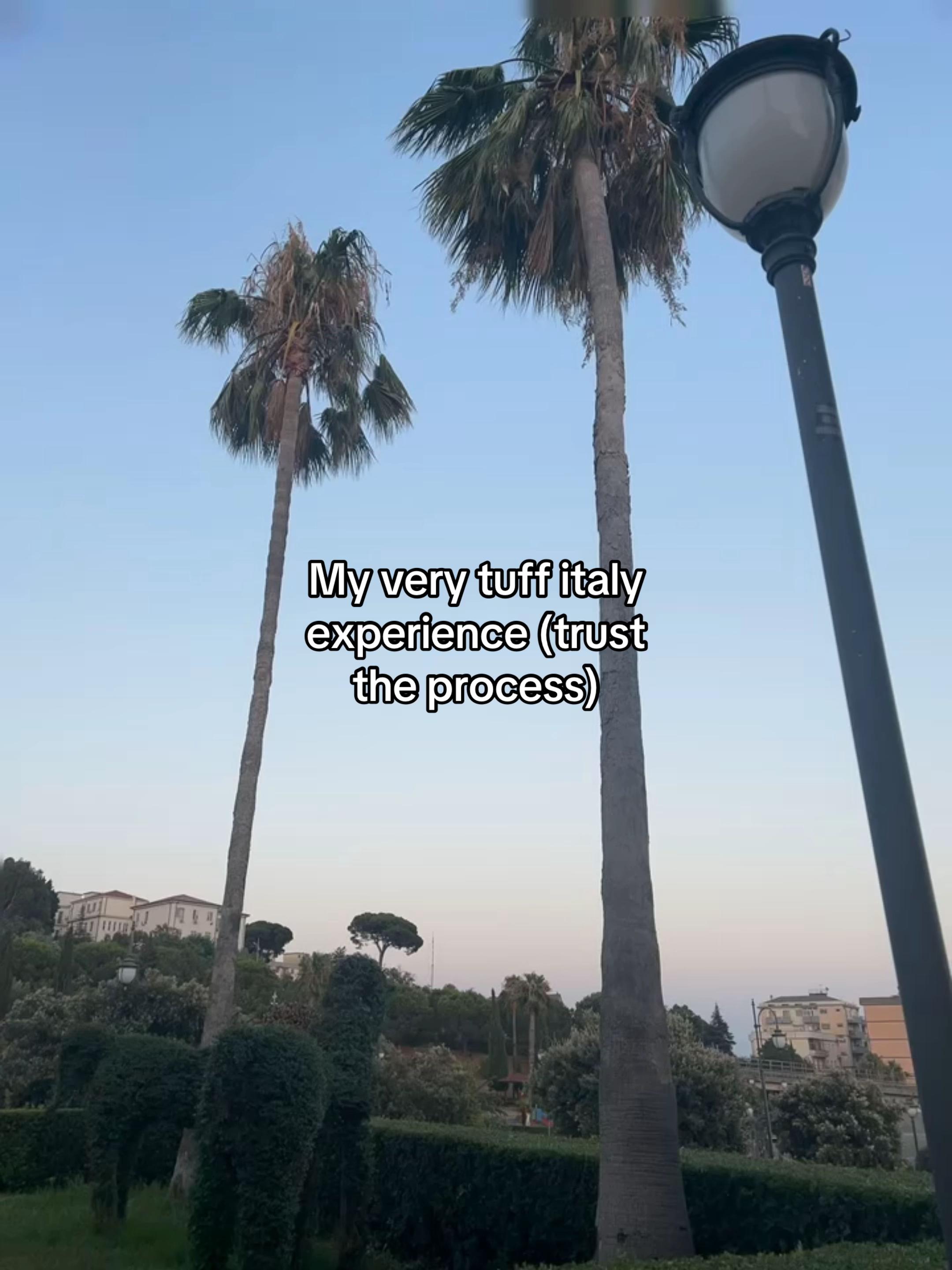 @&bull;.&deg;+𝙽𝚎𝚊𝚛~&deg;.&bull;