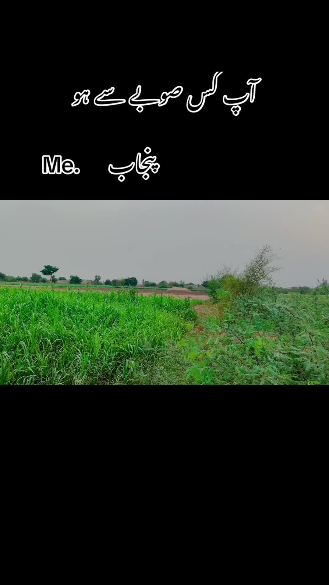@پنجاب زادہ🌿