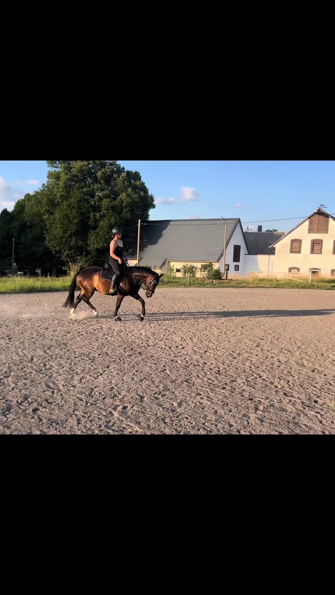 @Lena.sz.official