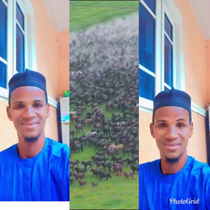 @maazu maidoki Gamaru19800@