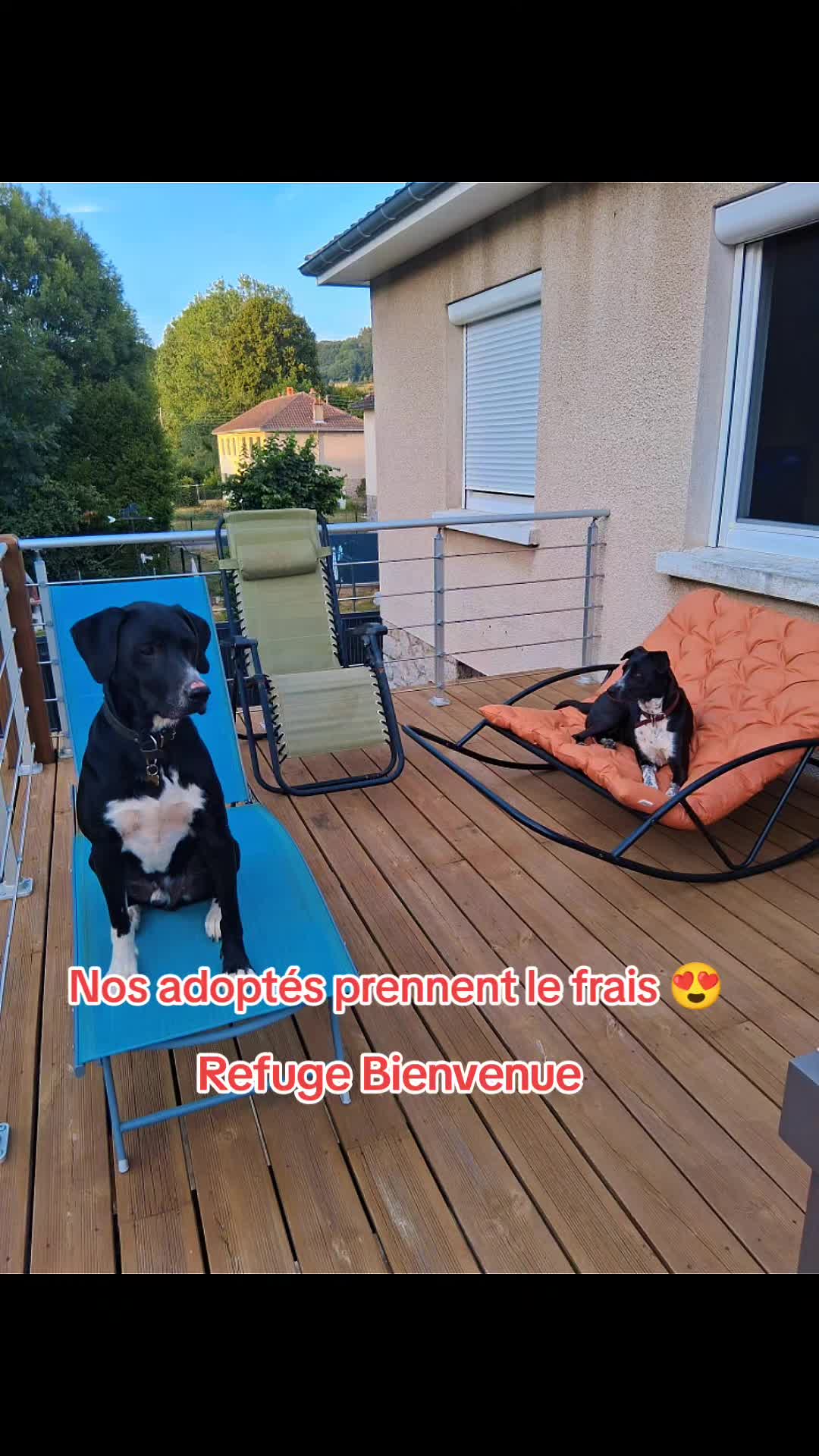 @refuge bienvenue