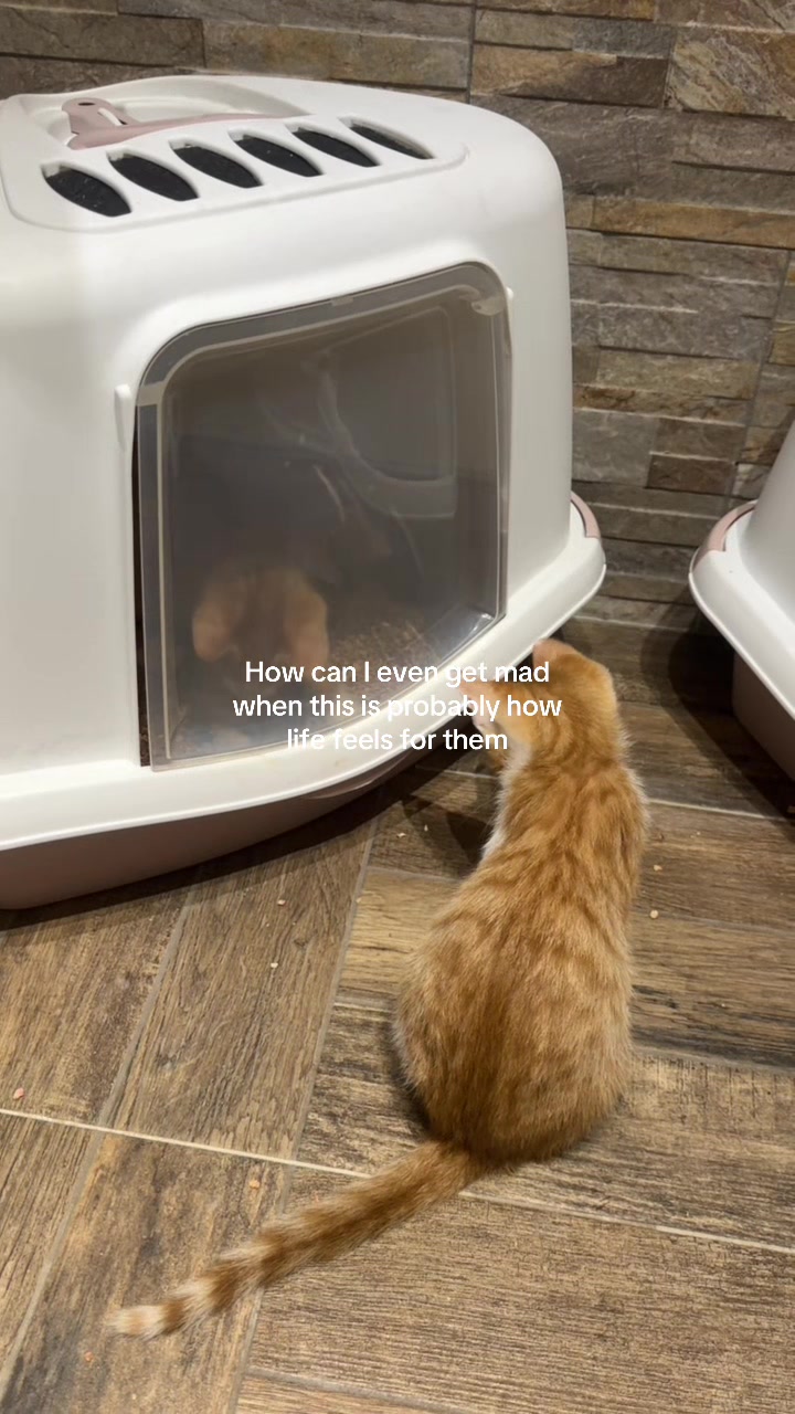 @𝒜𝓁𝑒𝓈𝓈𝒾𝒶