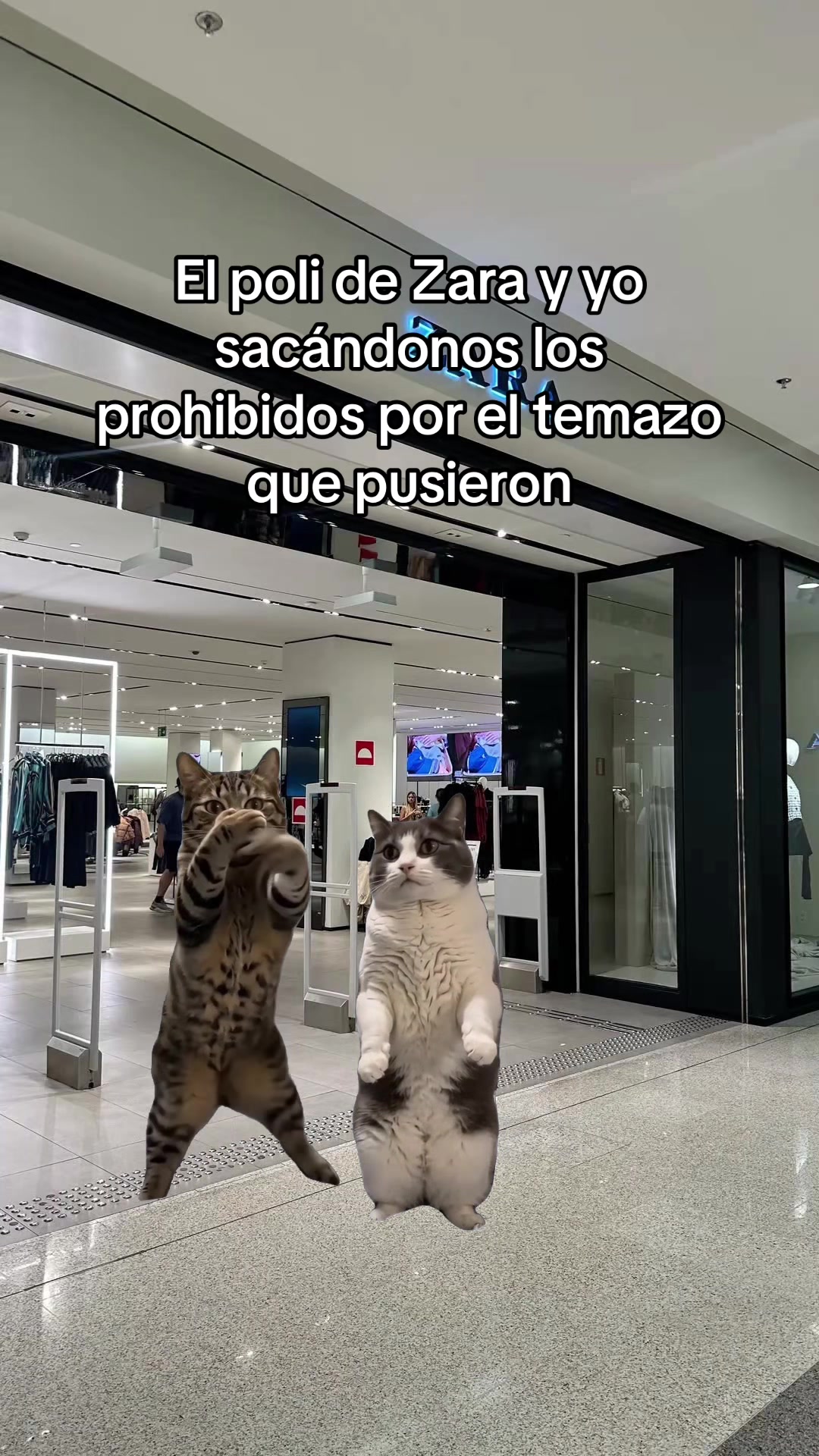 @zarahouseplaylist