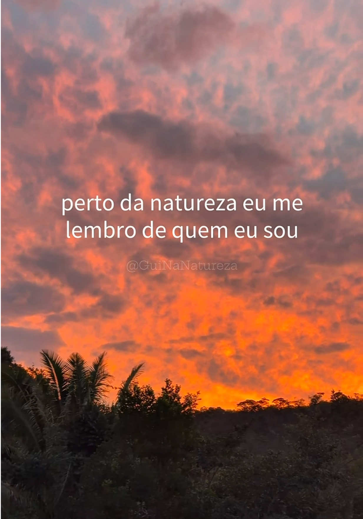 @guinanatureza