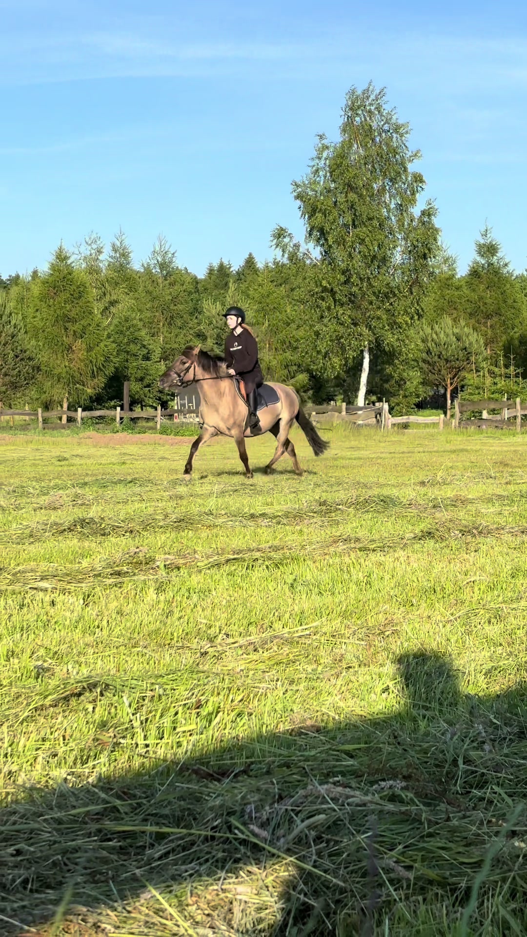 @🤍🐎