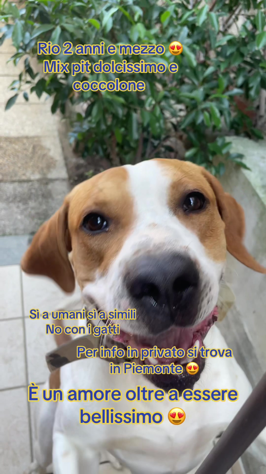 @KIRA❤️LEYLA💙