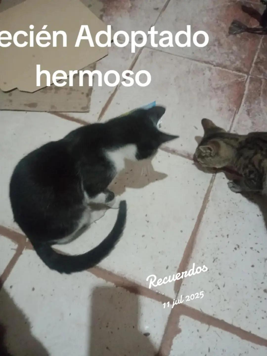 @Maru Rodriguez