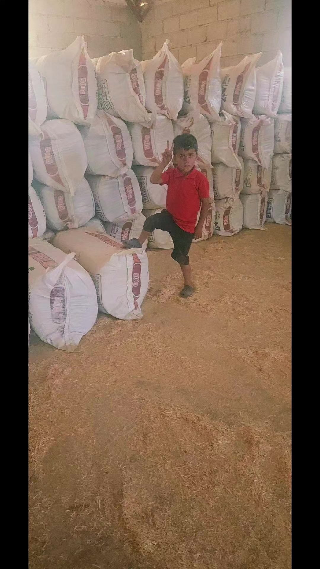 @F'erdi B'aly&uuml;z