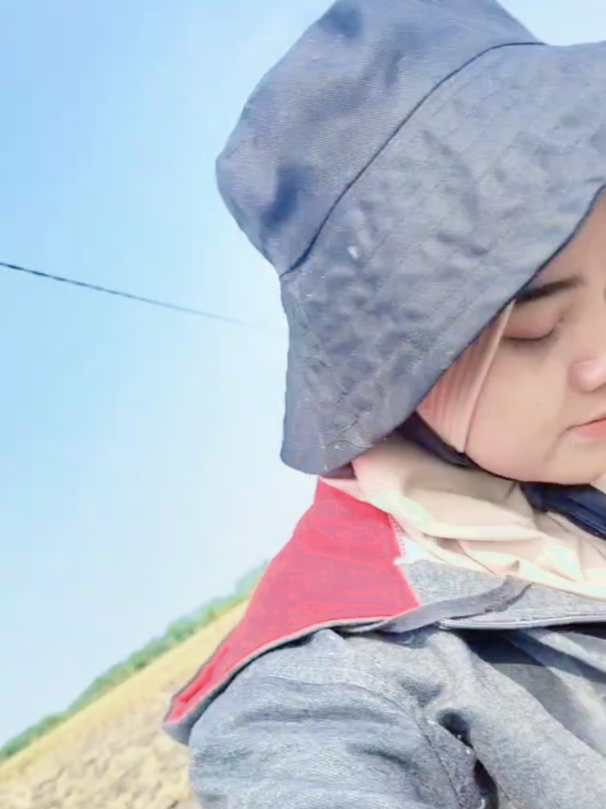 @Ira pessek jelita