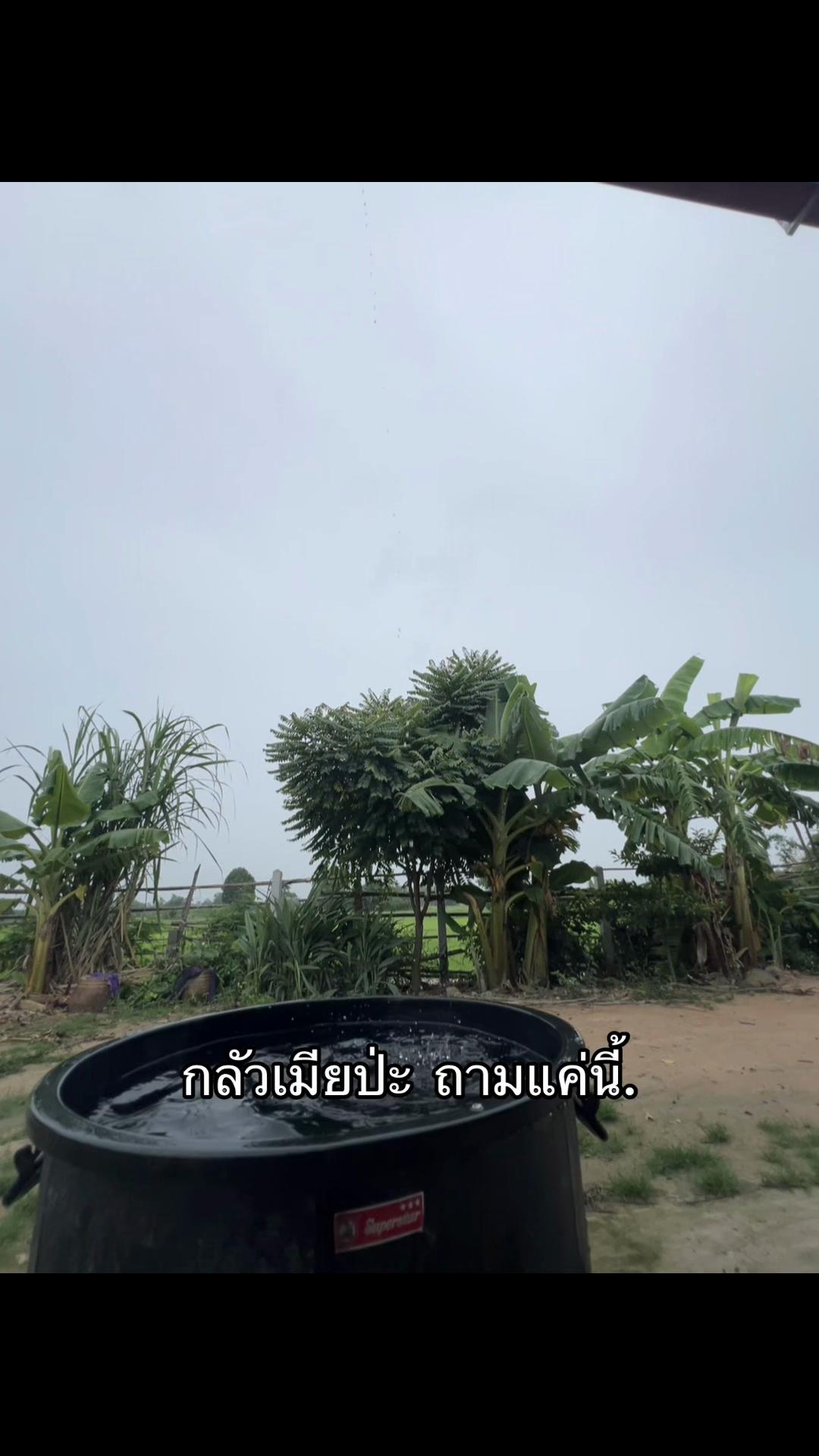@เธรดรวม. (1.3k)