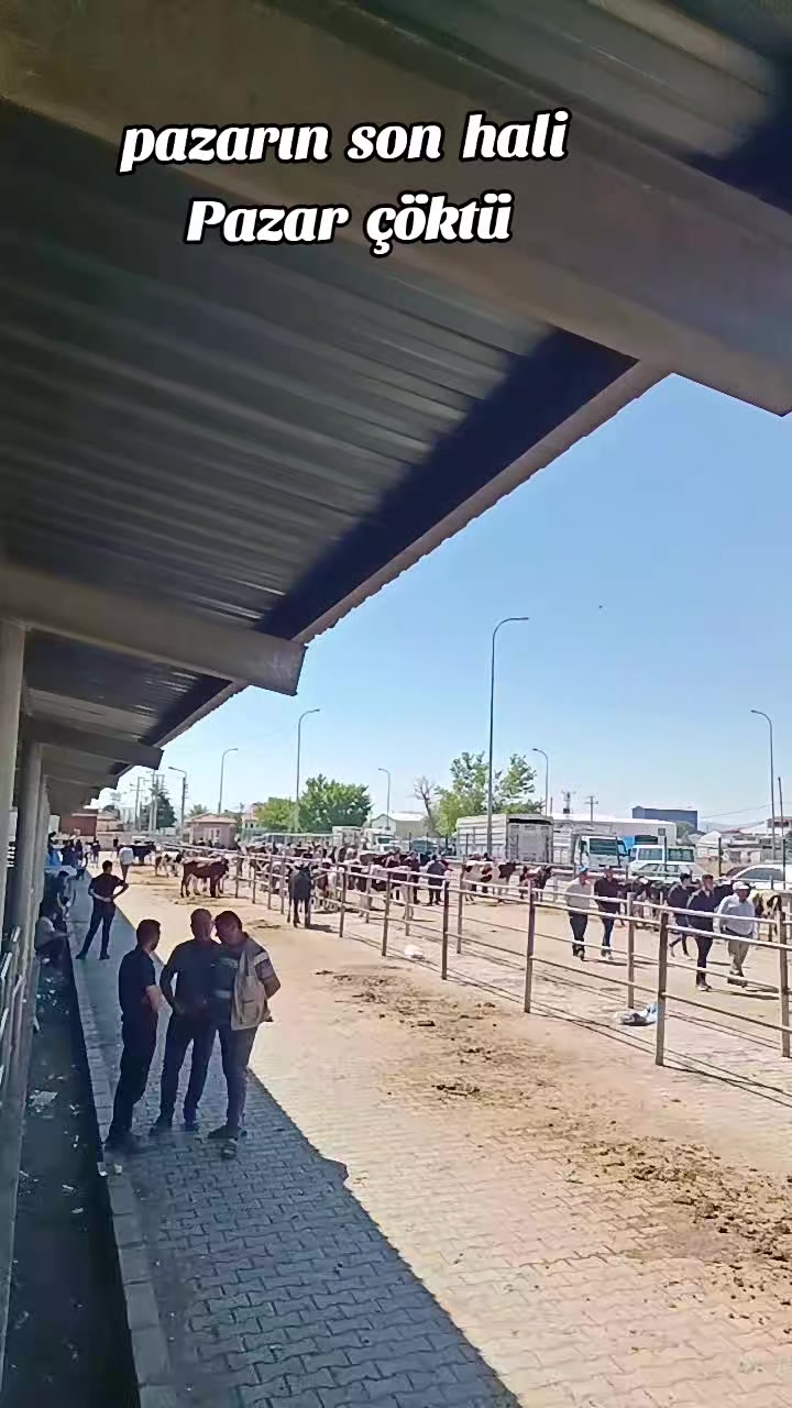 @Ali &Ouml;zok