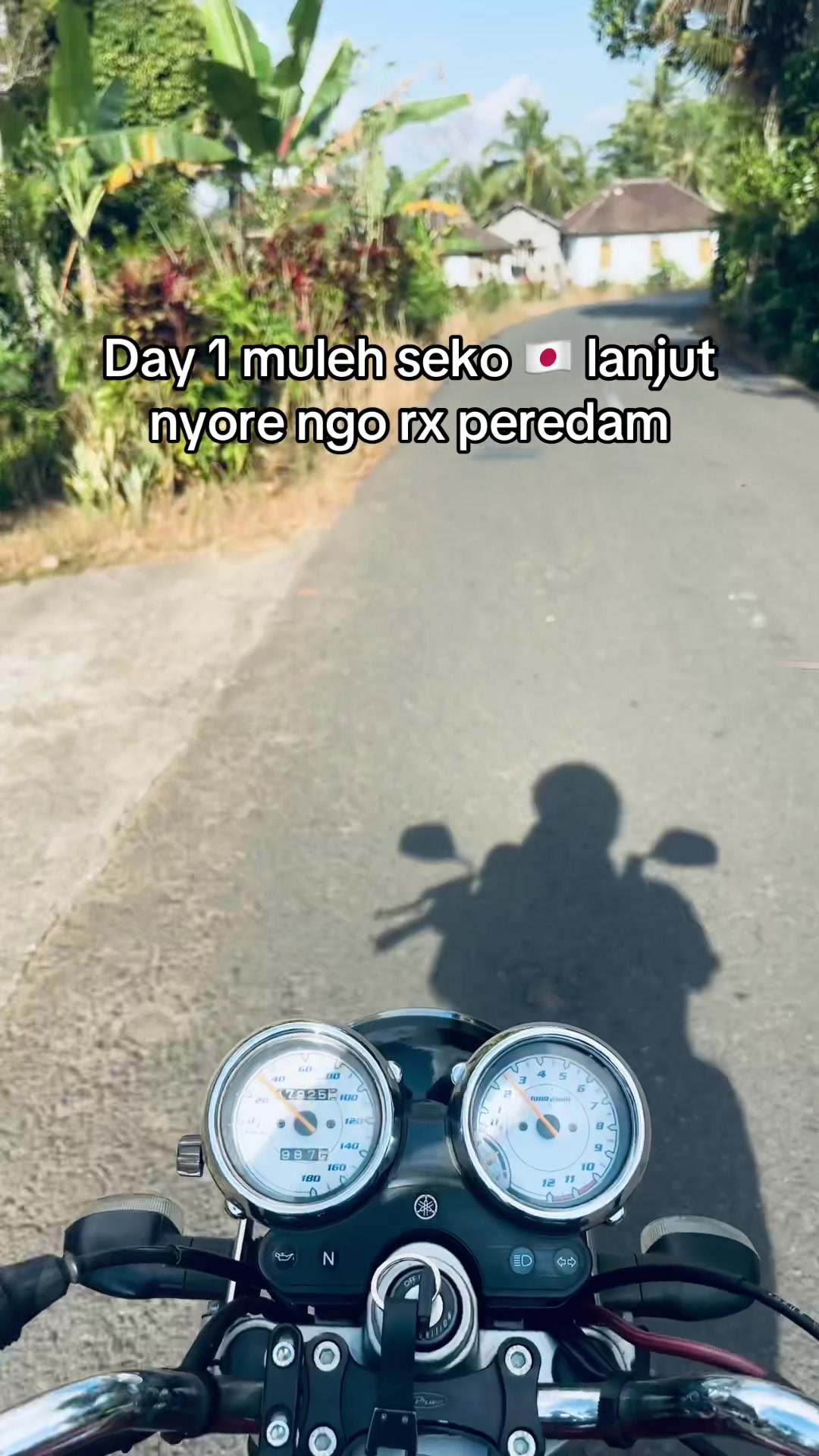 @E🕊️