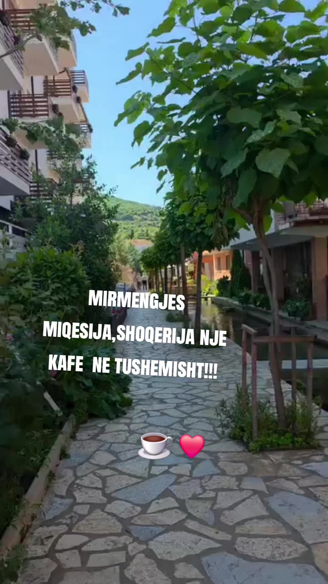 @12345678💙🫂🇦🇱