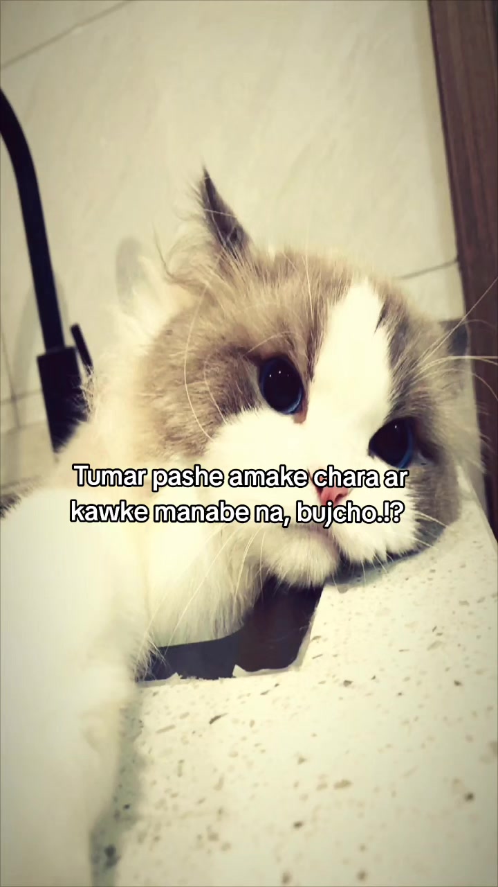 @Ehh?