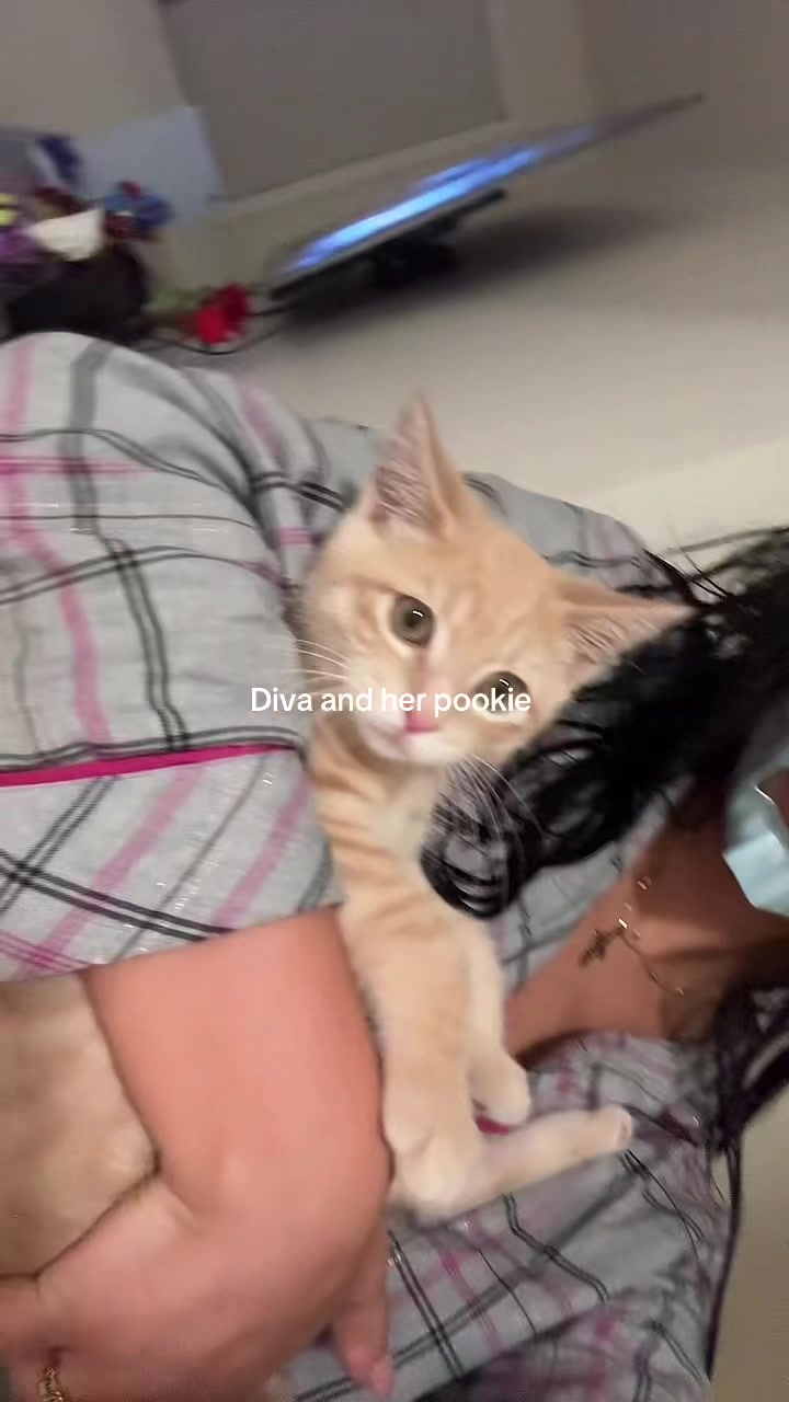 @Nikolina Marceta