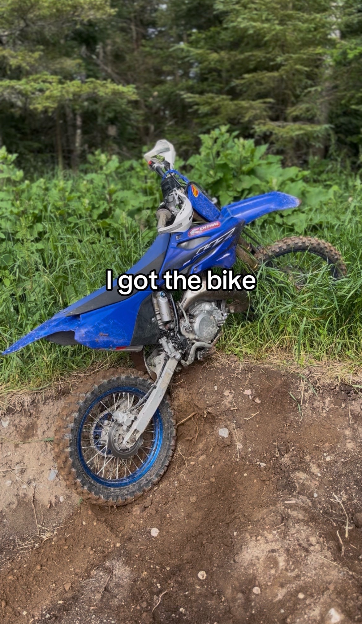 @𝕯𝖎𝖊𝖟𝖊𝖑