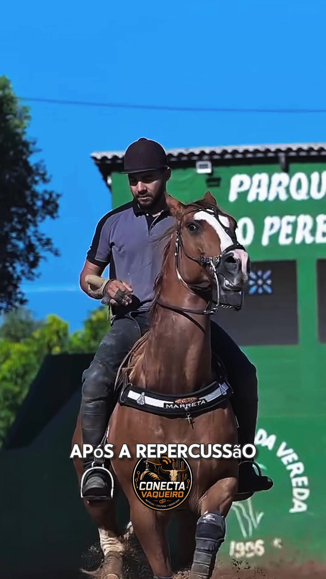 @conecta_vaqueiro_ofc