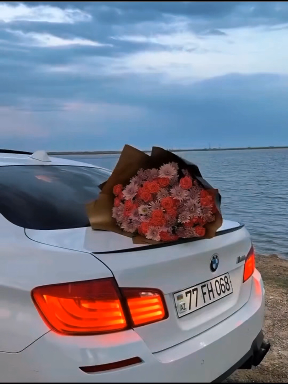@BMW 🫀