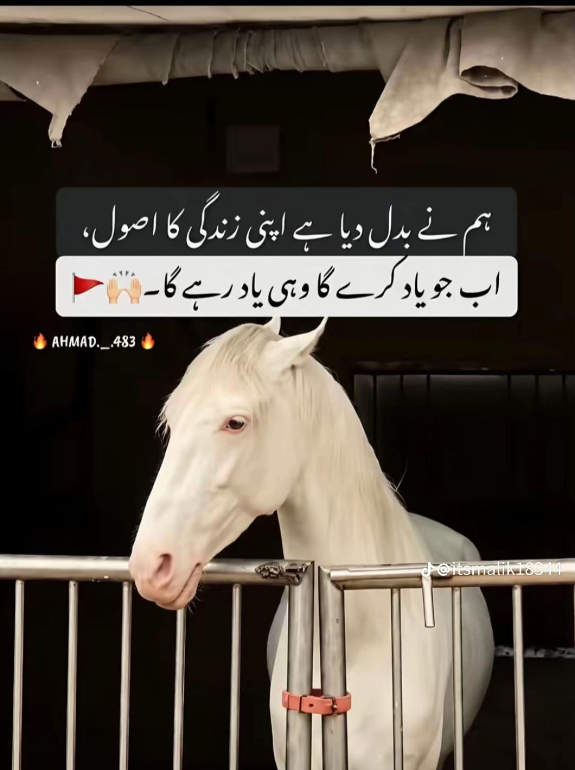 @🦅 عبداللہ 🚩