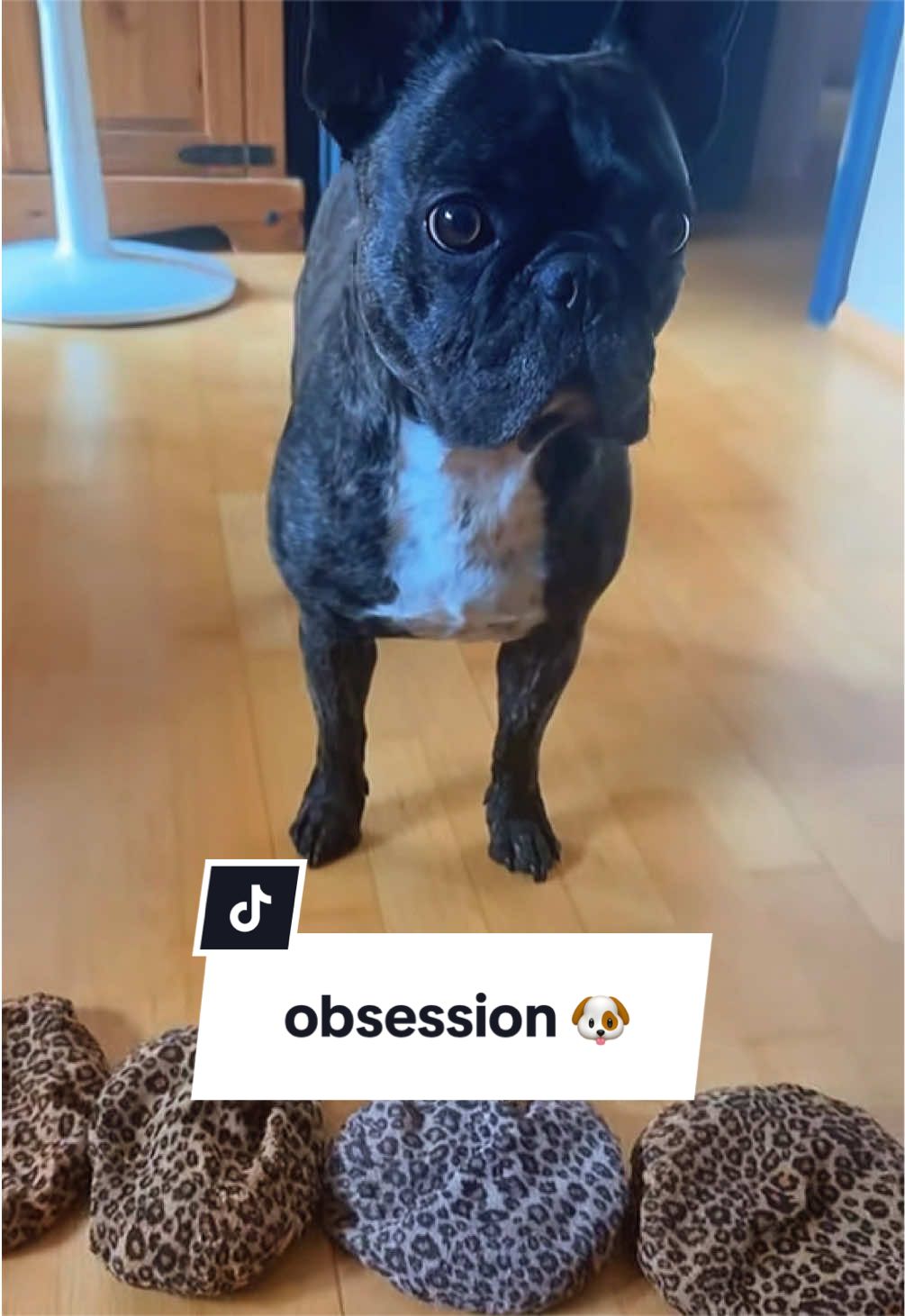 @Oscar 👁👅👁