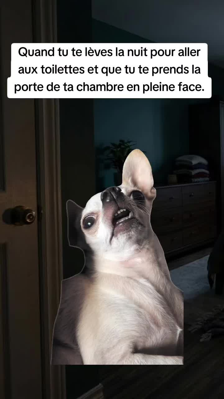 @🦋 Reine_M&egrave;re 🦋