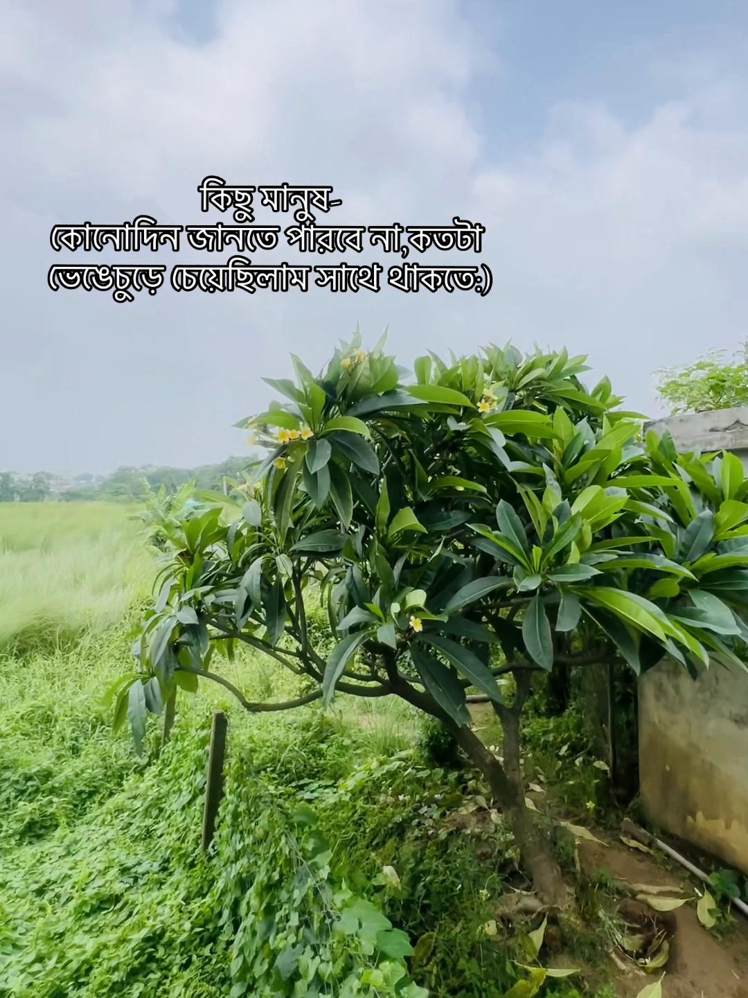 @Ꭼϻᴏɴ🪐