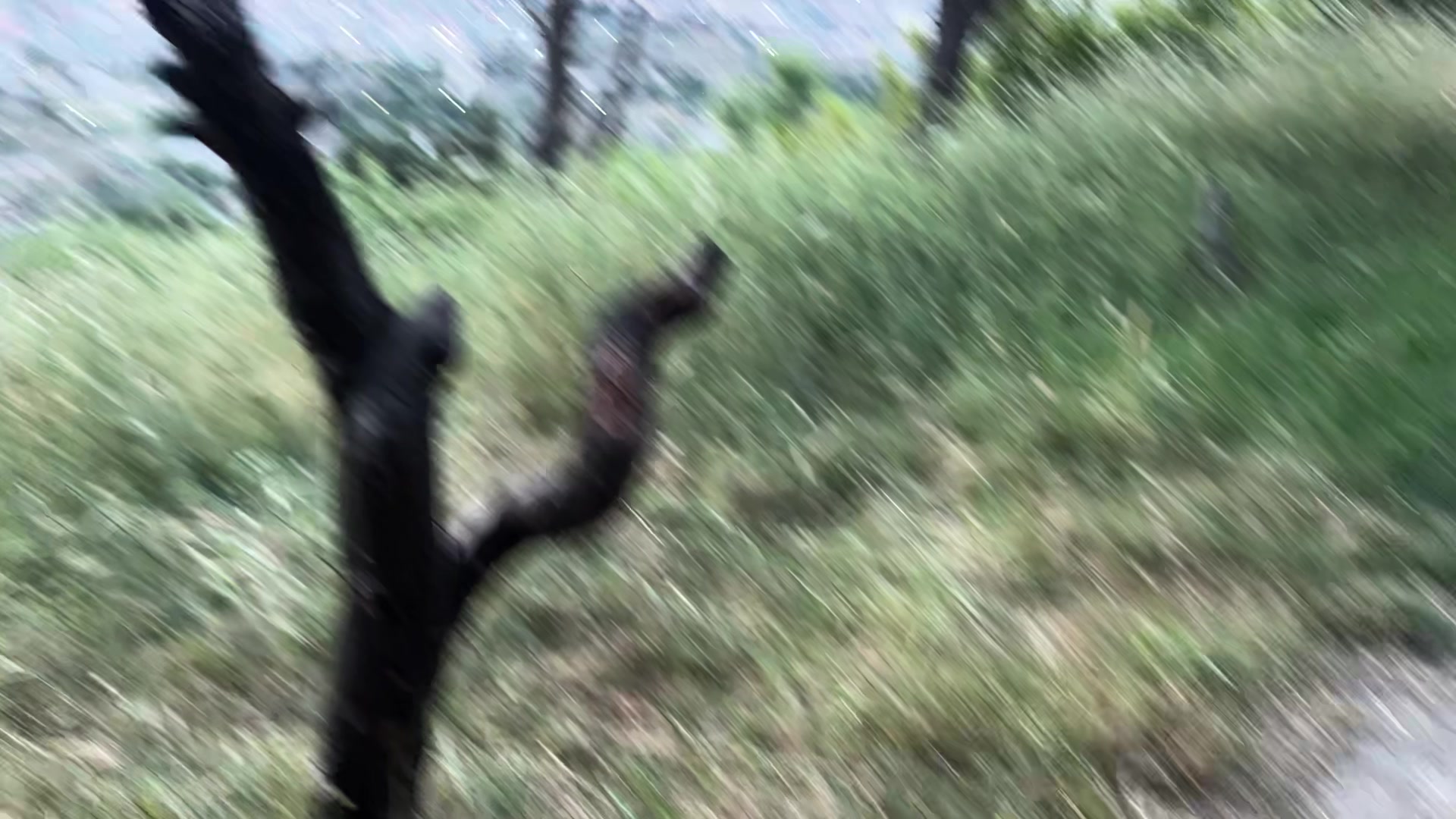 @𝙛𝙞𝙨𝙝𝙞𝙭 / 𝙣𝙖𝙩𝙪𝙧𝙚