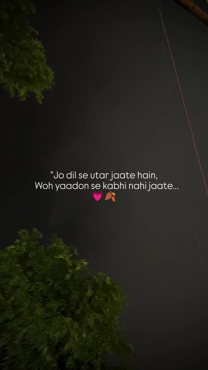 @🍂
